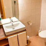 Wallackhaus Regiojet Otel 3*
