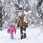 Wallackhaus Regiojet היליגנבלוט