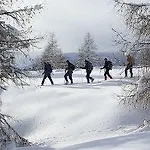 Wallackhaus Regiojet 3*