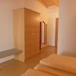 Wallackhaus Regiojet היליגנבלוט