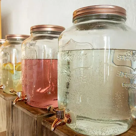 Wallackhaus Regiojet ホテル ハイリゲンブルート