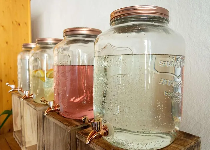 Wallackhaus Regiojet מלון היליגנבלוט