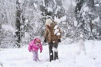 Wallackhaus Regiojet היליגנבלוט